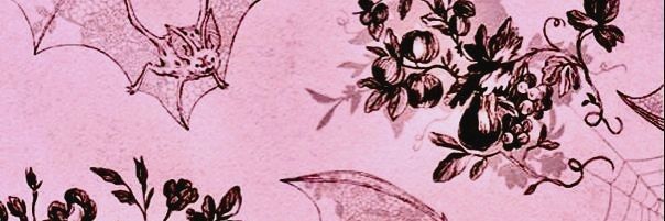 *. ☆ *. Cindy ✧ .*. banner