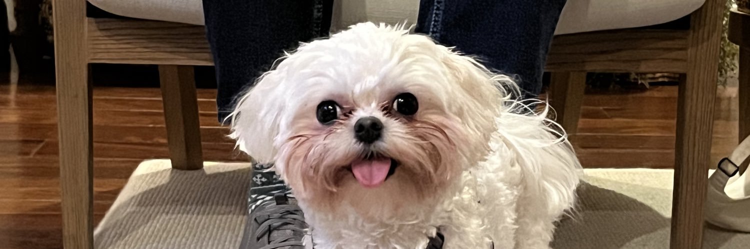 . banner