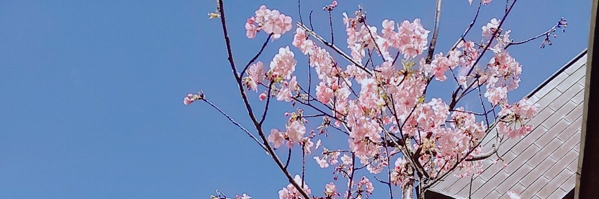 taemin317's profile banner image