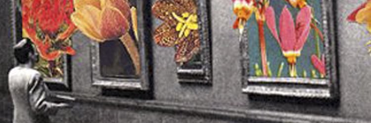 queenofswrdz's profile banner image