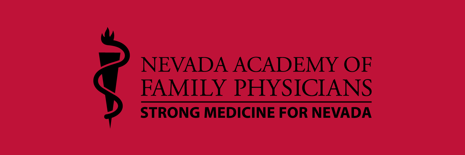 NVAcadFamPhysicians banner