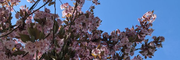 CalvertEilis Profile Banner