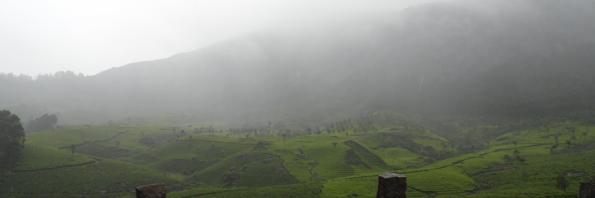 Deshpande banner