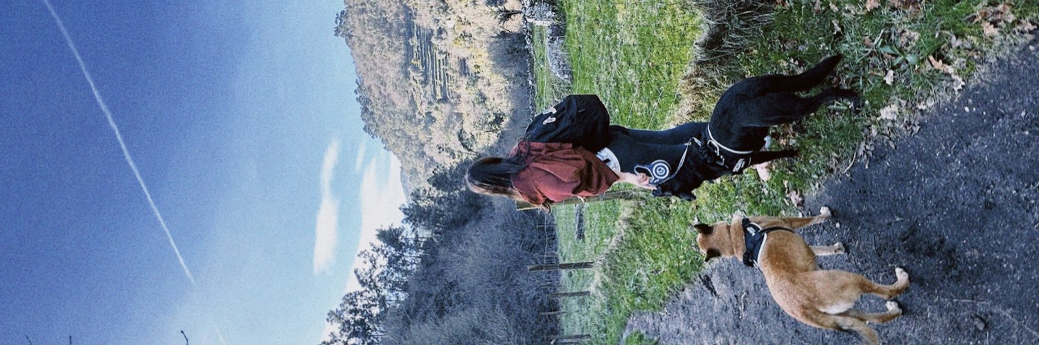 Arco Íris🦄 banner