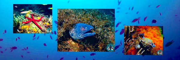 ClubAnforaMl Profile Banner