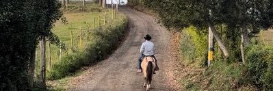 Sebastian Suarez banner