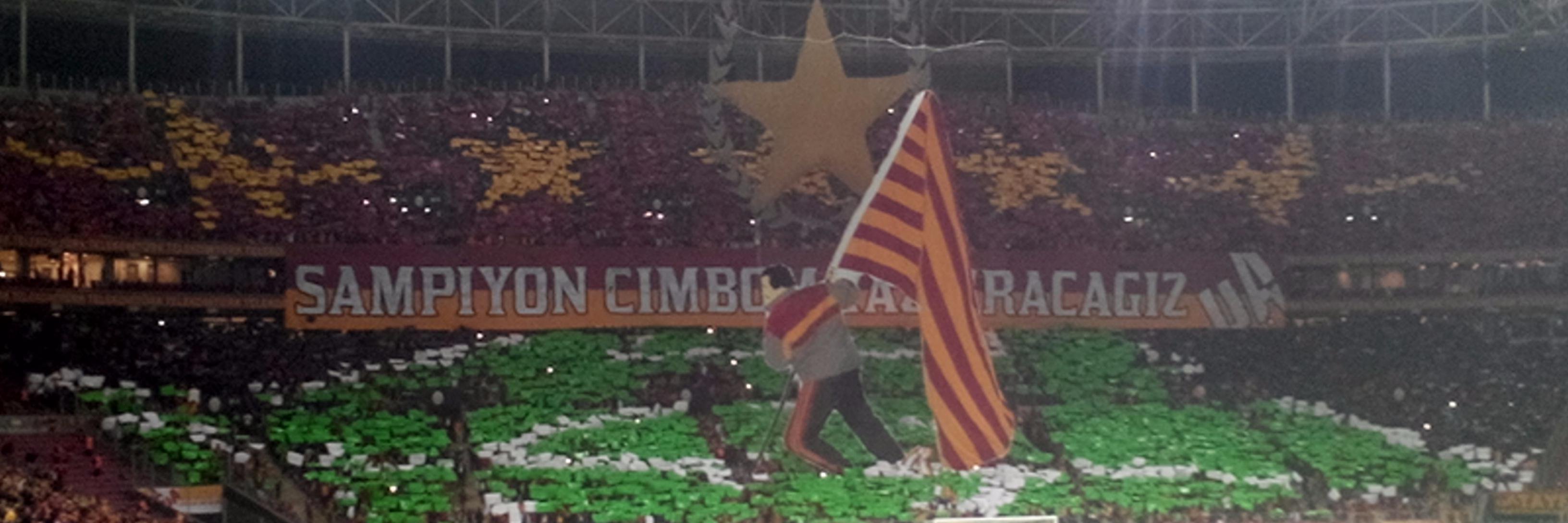 Catzzo28's profile banner image