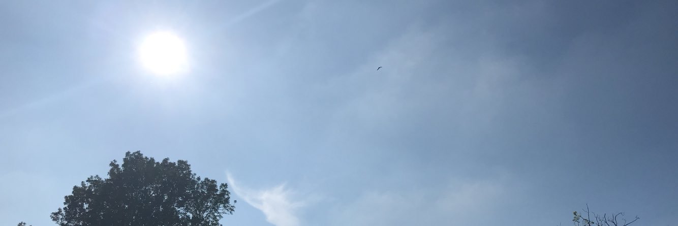T banner