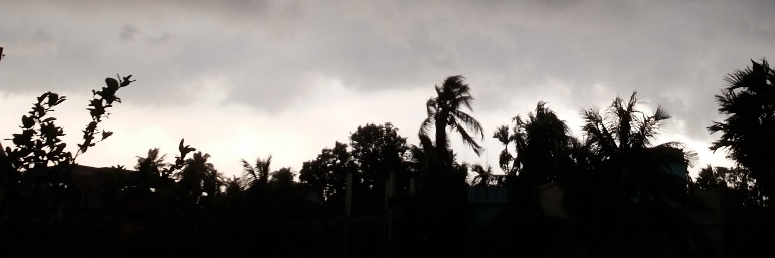 smithsandiy's profile banner image