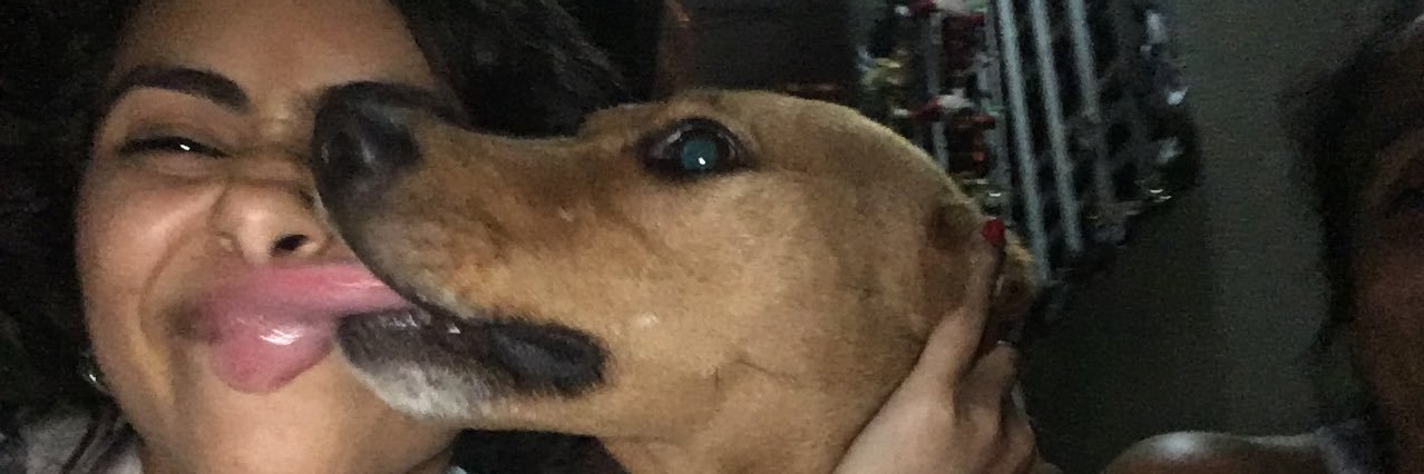 candykattyl's profile banner image