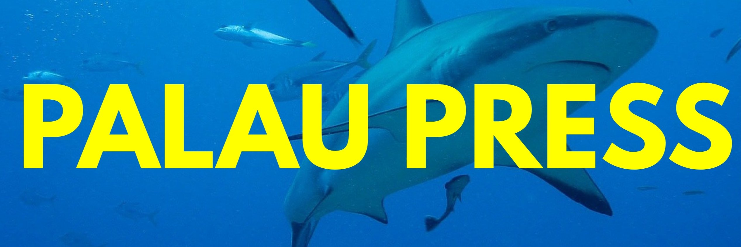 PALAU PRESS banner