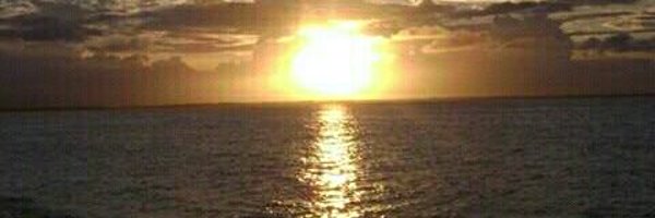 WilfelJ Profile Banner