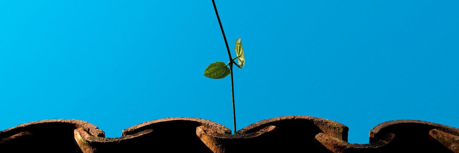 JuliemCorrea's profile banner image