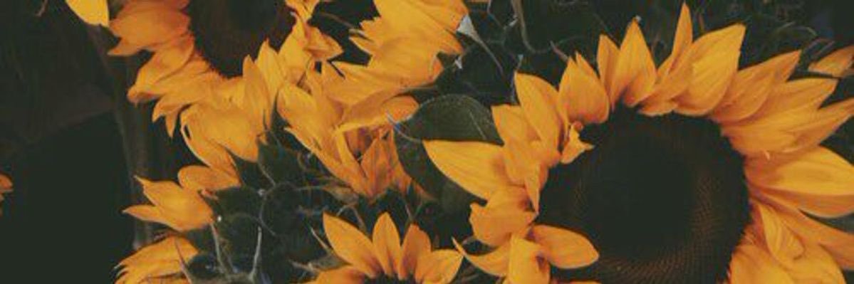 kk_ild's profile banner image