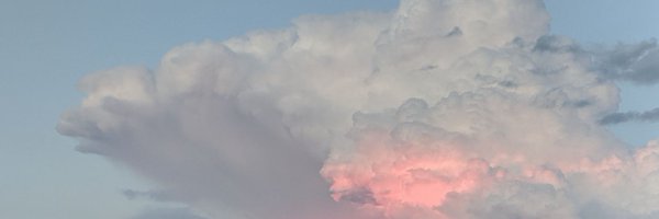 AmyAEgan Profile Banner