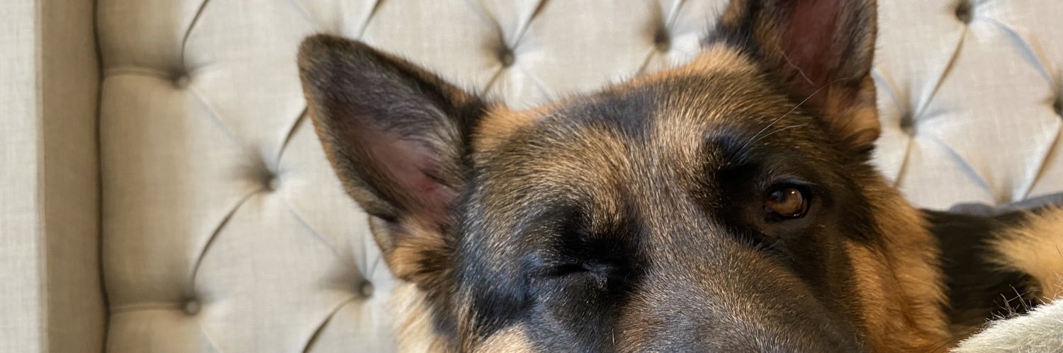 sierraphilo_23's profile banner image