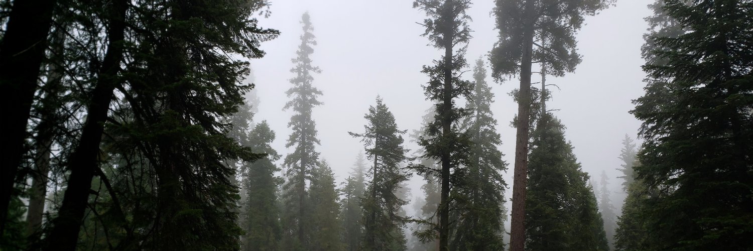 millie gonzalez banner