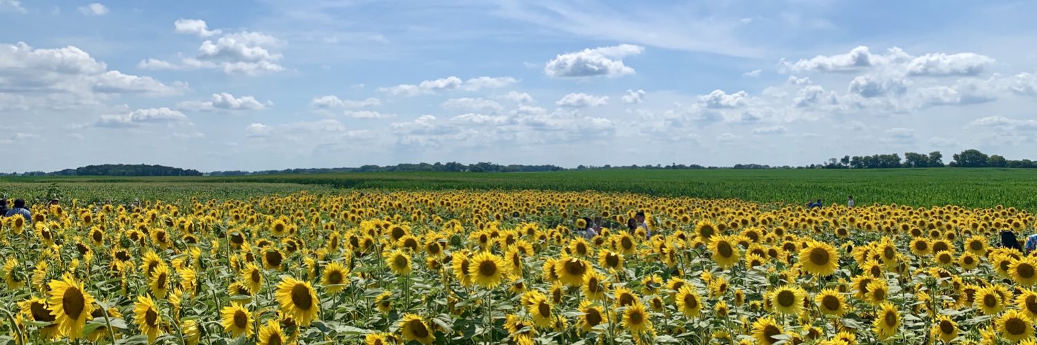 stephmolden's profile banner image