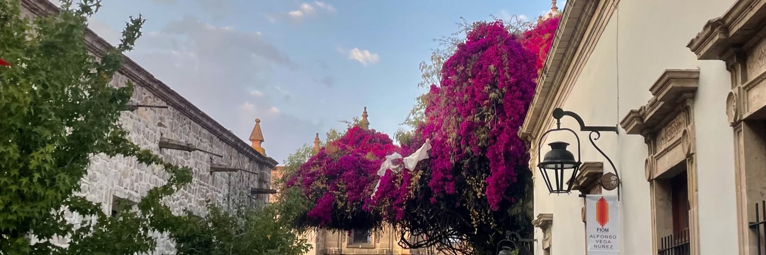eseldanielo's profile banner image