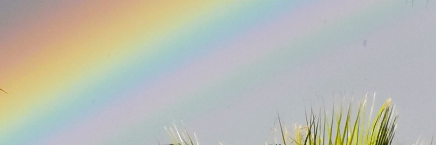 Just_lyloo's profile banner image