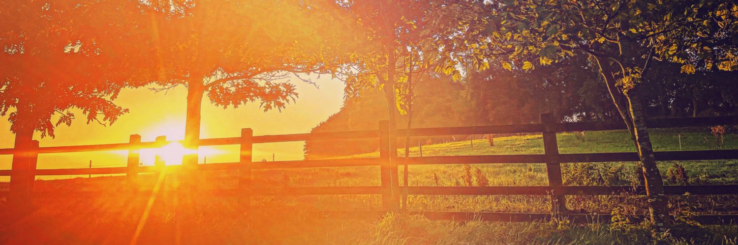 Annie Roche banner
