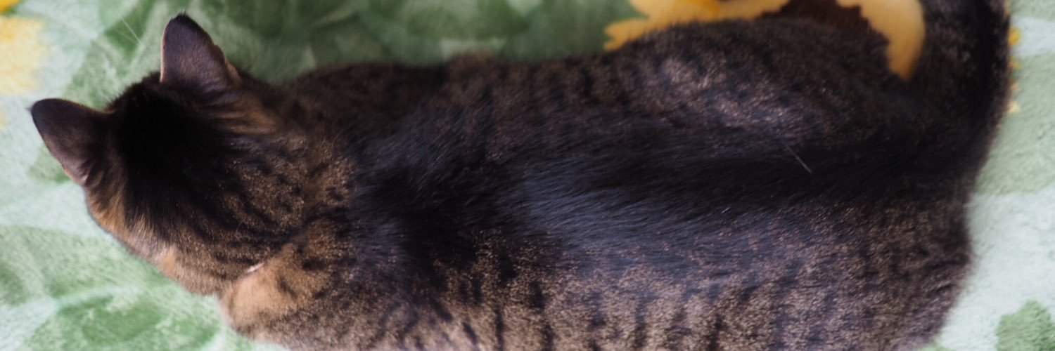 fuzzkichi's profile banner image
