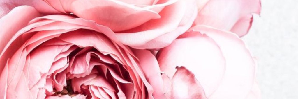 sam_ahum's profile banner image