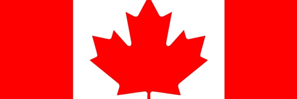 Mister B's mom banner