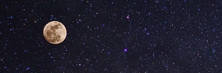 bebo_244's profile banner image