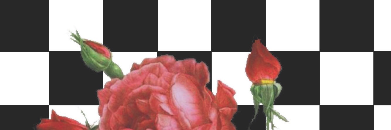 secretac567's profile banner image