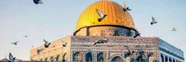 bakree2000's profile banner image