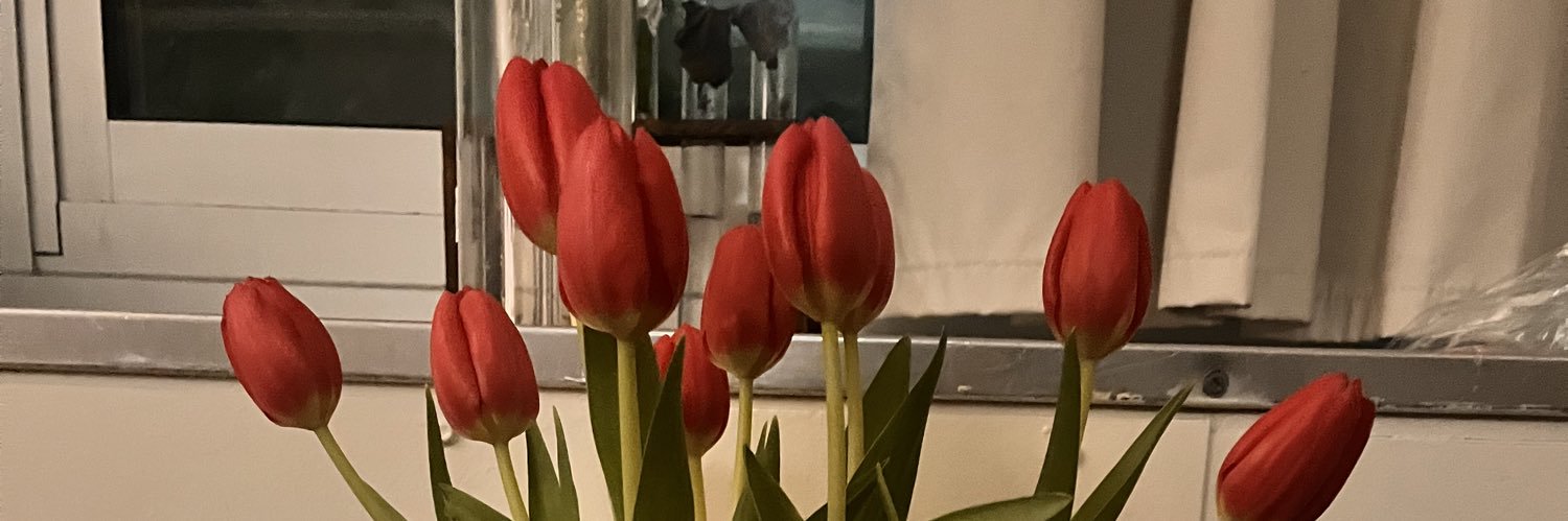 ewstalecheetos's profile banner image