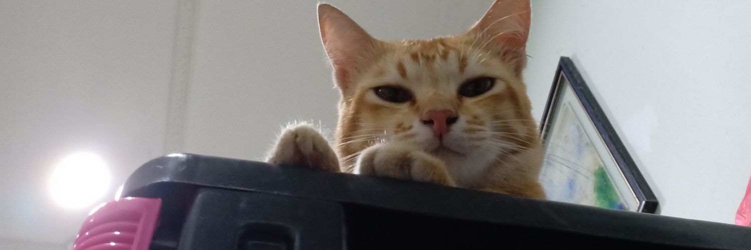 Syahiraaa___'s profile banner image
