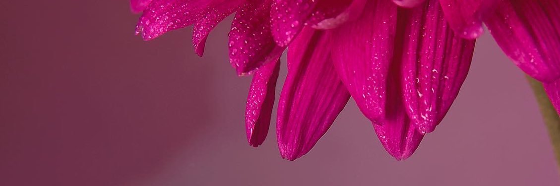 aslingc's profile banner image
