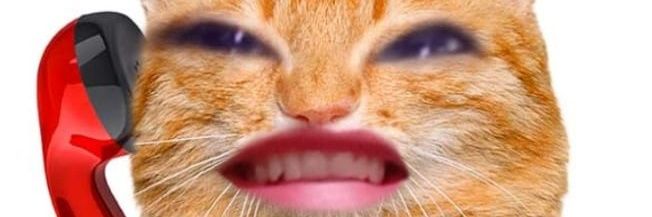 schattenn's profile banner image