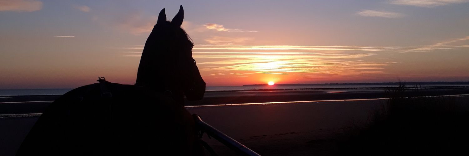 indragustafsson's profile banner image