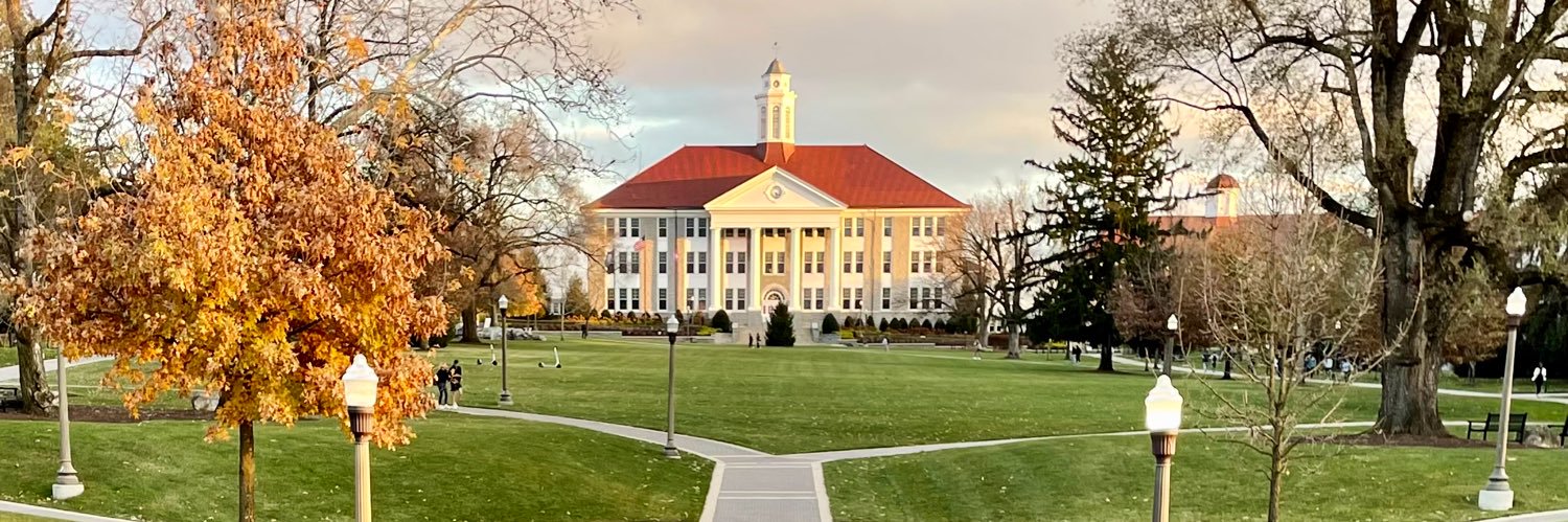 sandy cannold banner
