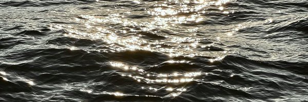 evryonestar Profile Banner