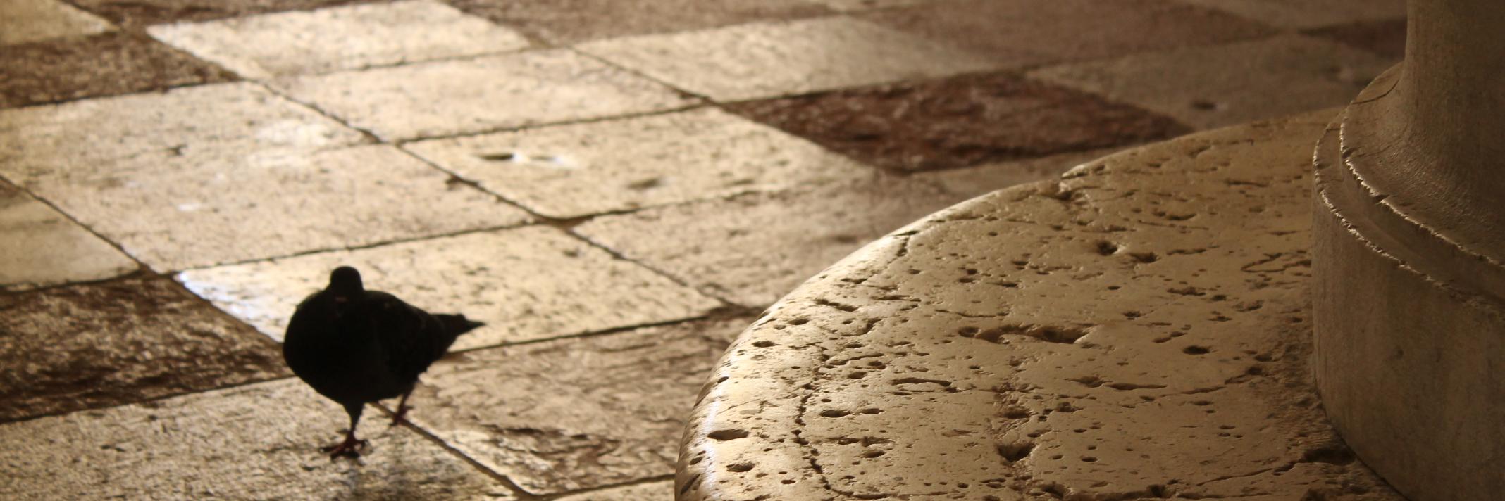 ines_alonso95's profile banner image