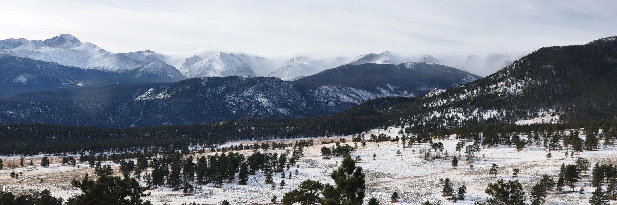 Camila Franchi banner