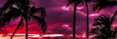 celeste_abigail's profile banner image