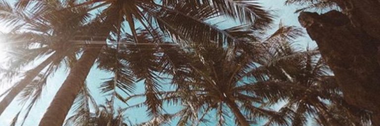 adamwalker_4's profile banner image