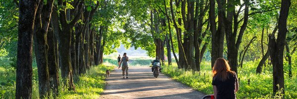 goodlocaladapt Profile Banner