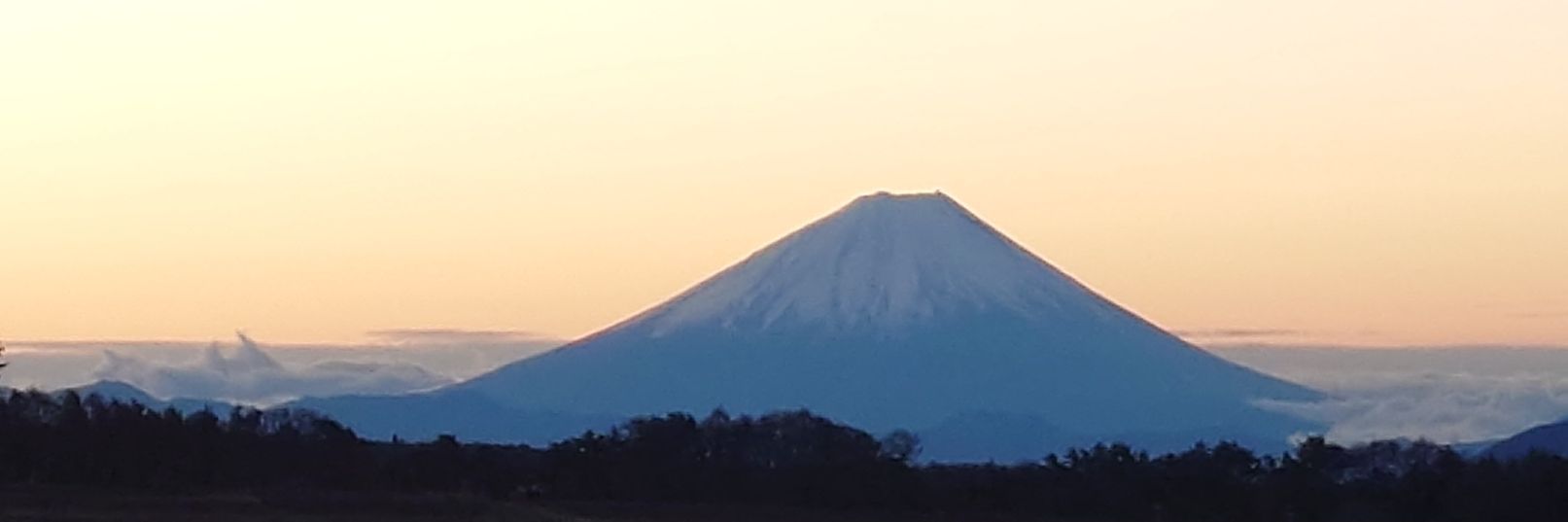 只野山雅ファン、60歳になったらサポータ。のおらぐり。本人です。 banner