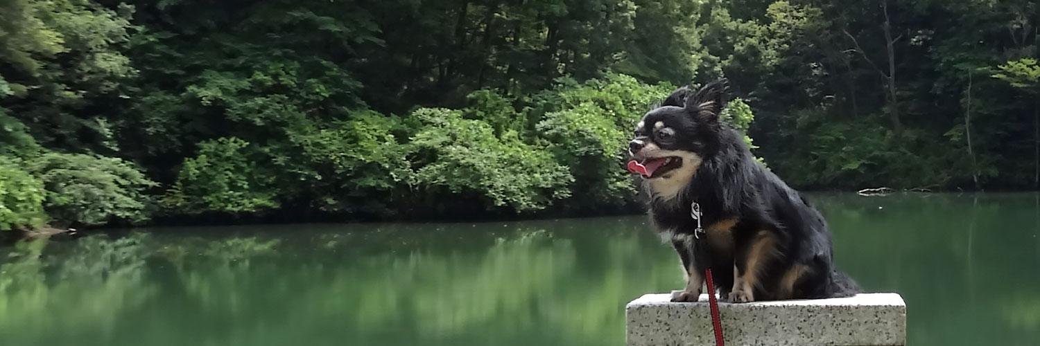 アーガイム banner