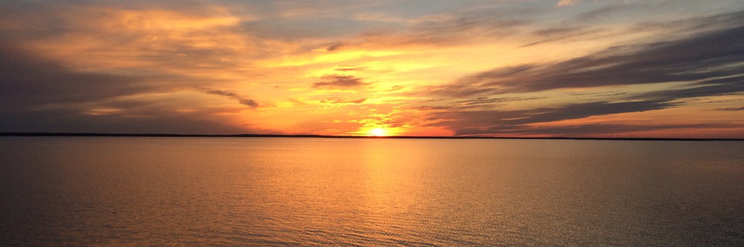 Peter Jutterström banner