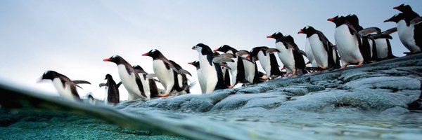 AntarcticSF Profile Banner