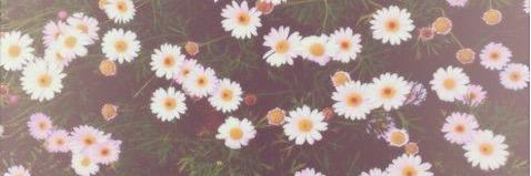 andy_in_wndrlnd's profile banner image