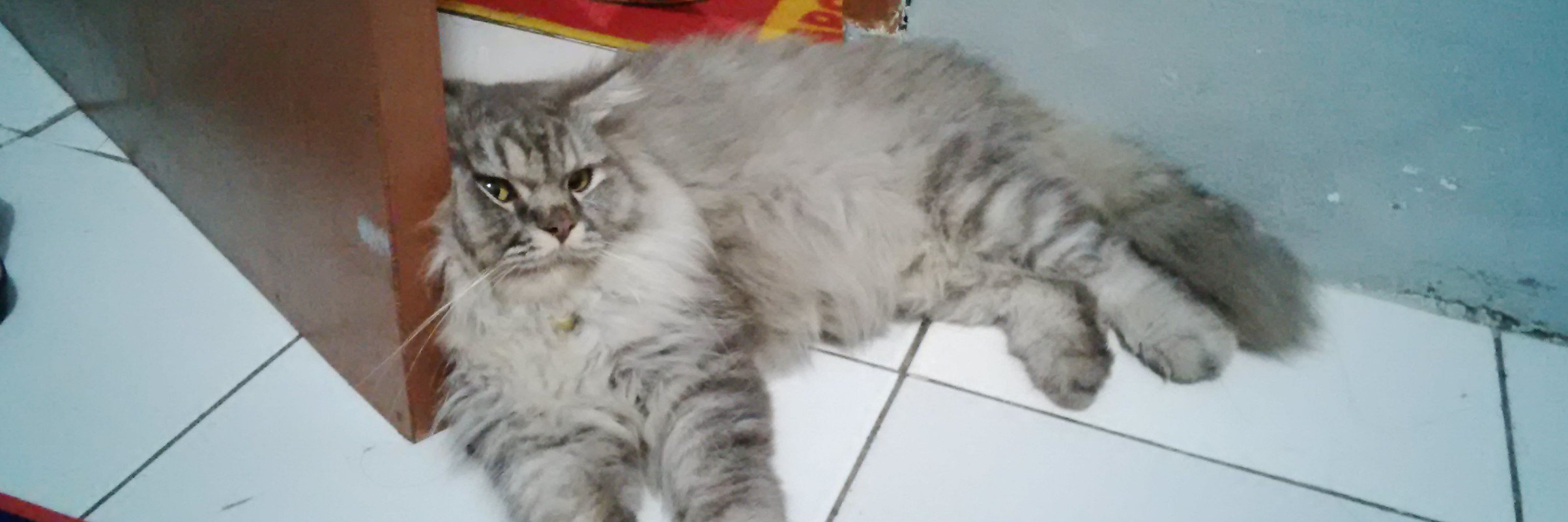 yorie_stefany's profile banner image