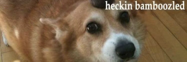 unmandequito's profile banner image